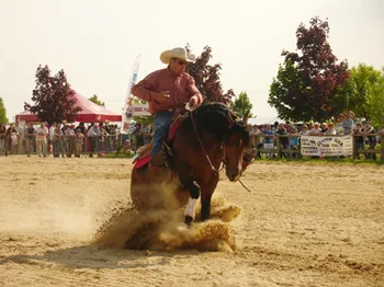Versatile Stud Ranch à Solérieux, Drôme (26)