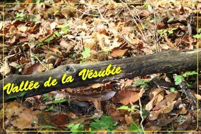 Vésubie Decouverte à Roquebillière, Alpes-Maritimes (06)