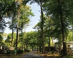 Village Center Camping Eurolac à Aureilhan, Landes (40)