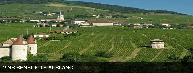 Vins Benedicte Aublanc à Quincié-en-Beaujolais, Rhône (69)