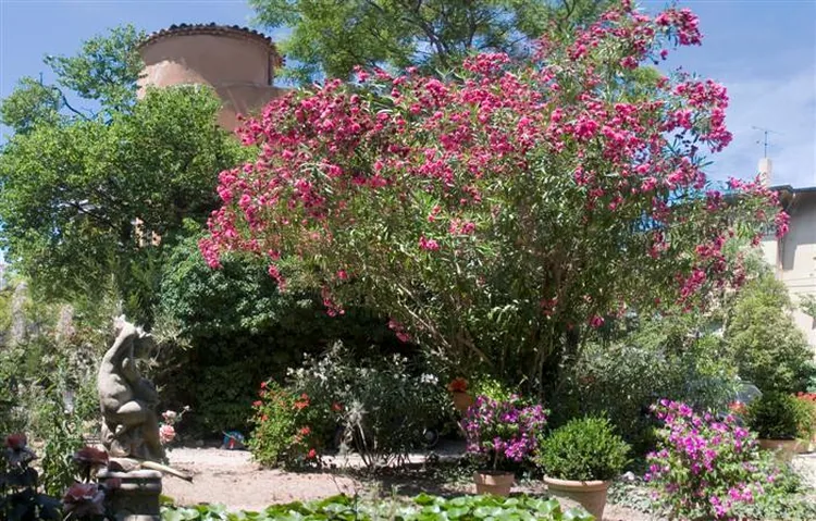 Villa Monticelli à Marseille, Bouches-du-Rhône (13)