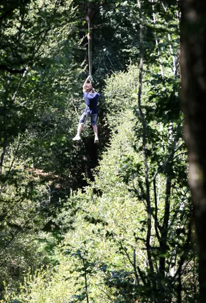 Wizz'titi à Ussac, Corrèze (19)