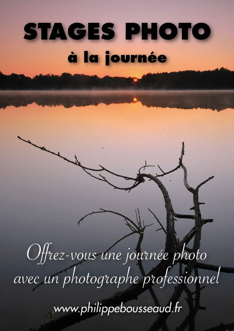cours-et-stages-photo.com à Allègre, Haute-Loire (43)