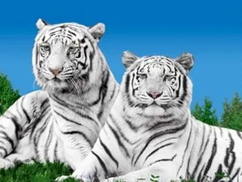 Zoo d'Amnéville à Amnéville, Moselle (57)