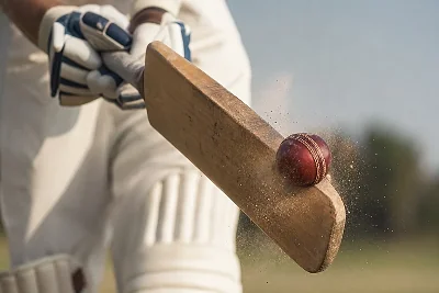 Cricket