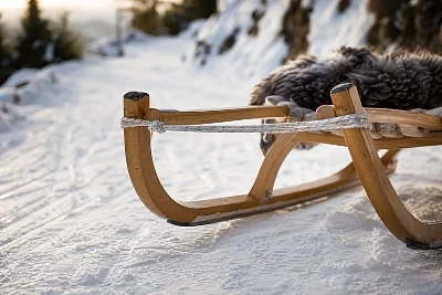 Descente en Luge