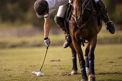 Horse-Ball