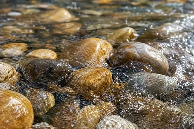 Rivière