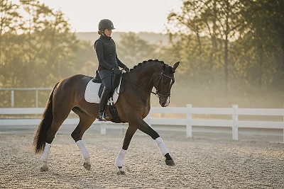 Sport Equestre