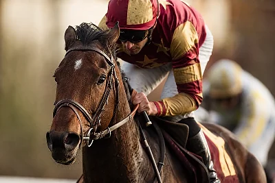 Sport Hippique
