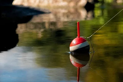 Etang en France