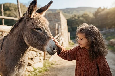 Randonnée avec Âne en France
