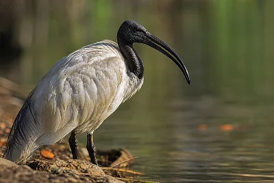 Réserve Naturelle en France