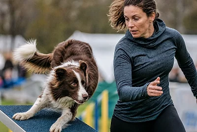 Sport avec Animaux en France