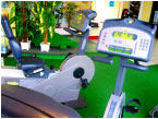 Accrovital JFM