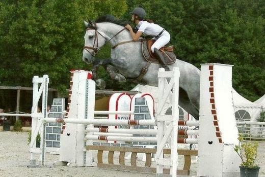 AECB Centre Equestre - Poney Club