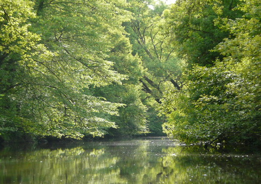 Akwa Nature Location Canoe-Kayak