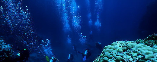 Alpha Diving