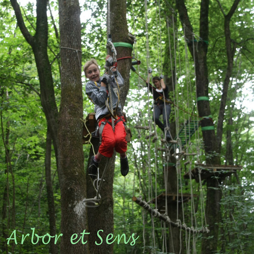 Arbor et Sens
