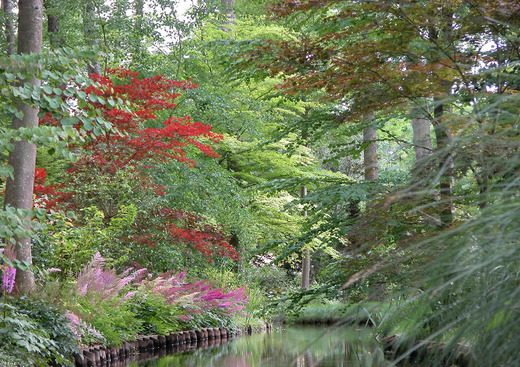Arboretum des Prés des Culands