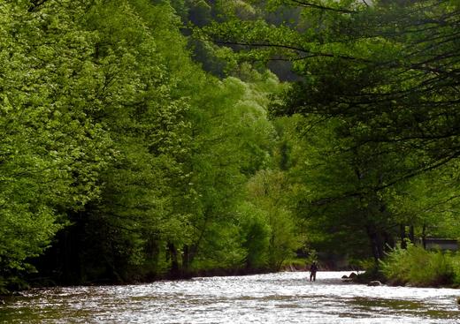 Ariège Pêche Nature