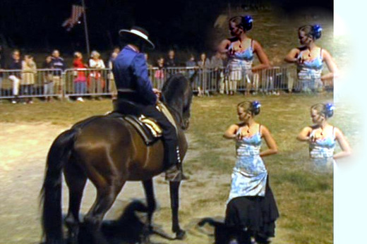 Ass Chevaux Iberiques