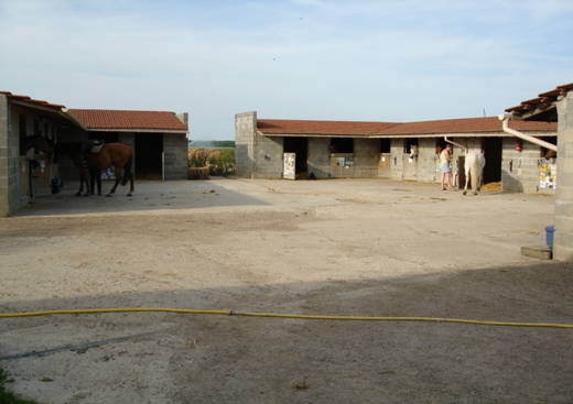 Association Poney-club - Les Joncs