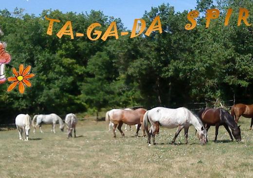 Association Tagada Spirit
