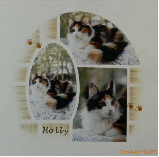 Ateliers et cours de Scrapbooking AZZA
