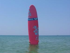 Atlantic Surf Camp