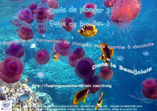 Avenir Cap Jeunesse