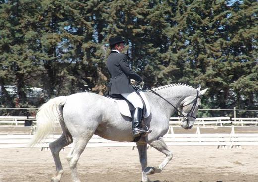 Balades à cheval