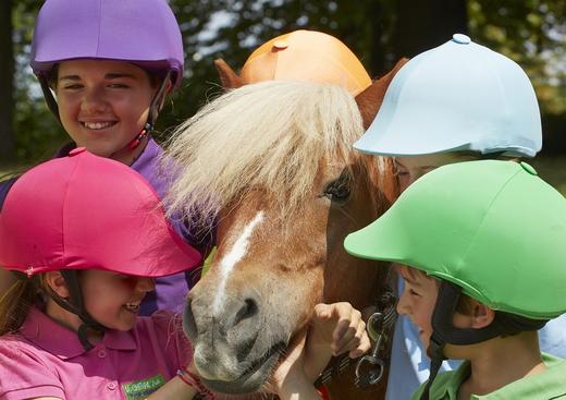 Balades à cheval et en attelage