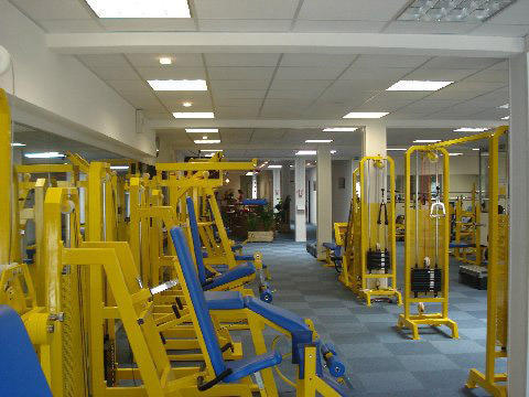Body Fitness