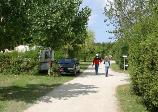 Camping Lann Brick