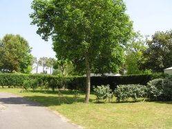 Camping Le Zagarella