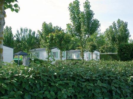Camping Plein Sud