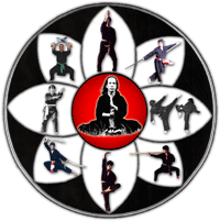 Centre d'Etudes et de Perfectionnement des Arts Martiaux Viet Vo Dao
