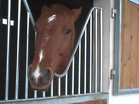 Centre Equestre de l'Ourail
