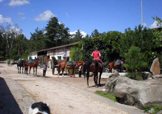 Centre Equestre de la Lisière
