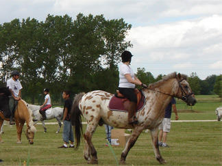 Centre Equestre de Madine