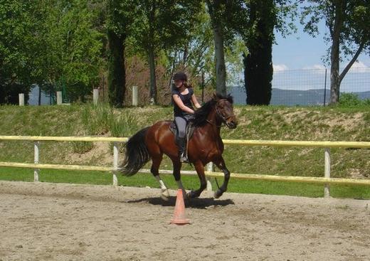 Centre Equestre de Pont Royal Mallemort