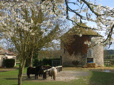 Centre Équestre du Clos