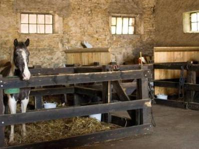 Centre Equestre du Patureau