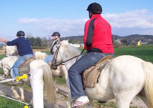 Centre Equestre l'Etalon des Estrades
