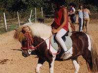 Centre Equestre La Cadence