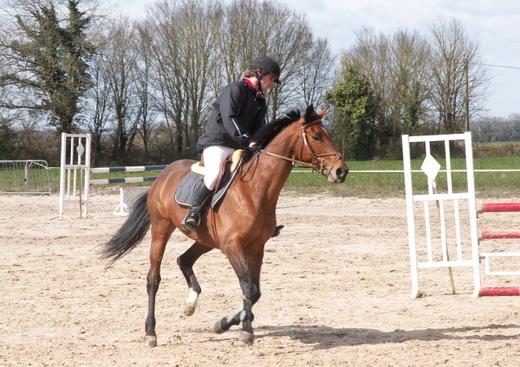 Centre équestre le Logis du Poney