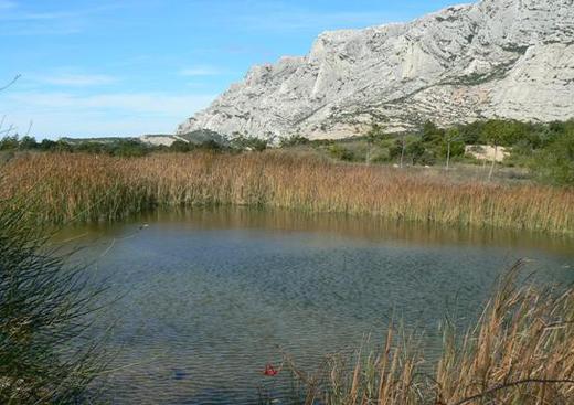 Centre Equestre Clos Sainte Victoire
