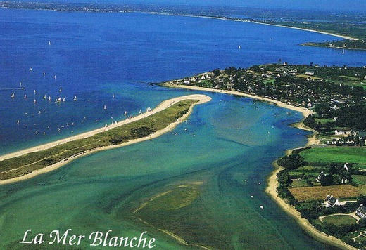 Chambre d'Hôtes La Félinière