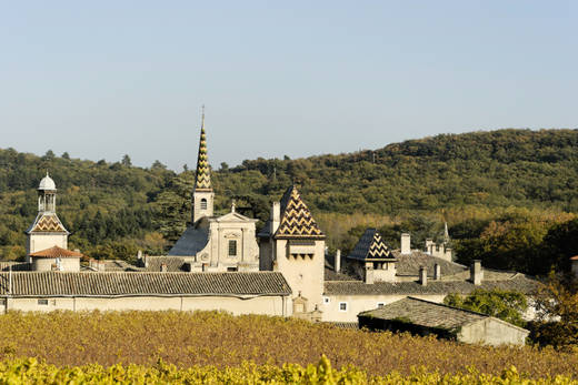 Chartreuse de Valbonne